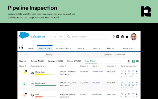 Revenue Grid para Salesforce e Gmail: Otimize suas Vendas - Screenshot 2
