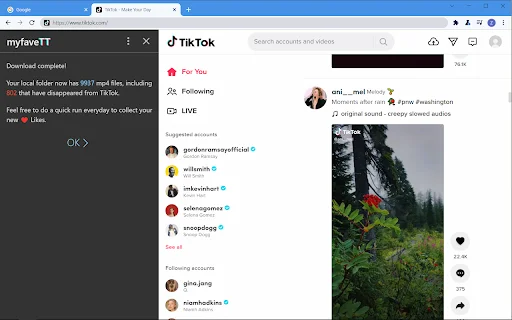 myfaveTT: Baixe Vídeos do TikTok – Salve Favoritos e Curtidas - Screenshot 3