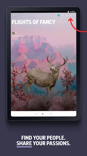 Flipboard: Sua Revista Digital e Notícias – Baixe Grátis Agora - Screenshot 15