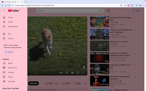 Pastel Pink YouTube: Deixe seu YouTube com um visual rosa incrível - Screenshot 2