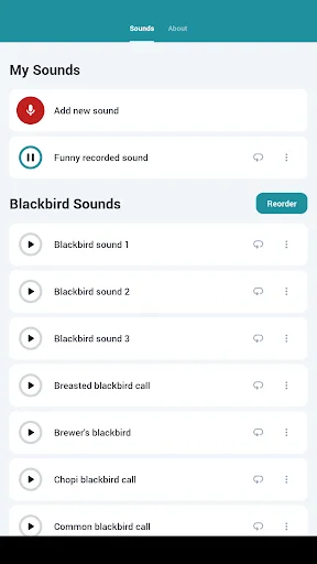 Baixar Blackbird Sounds – Melodias da Natureza para Relaxar Agora - Screenshot 11