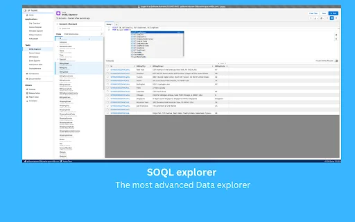 Salesforce Toolkit: Otimize seu Fluxo de Trabalho no Salesforce - Screenshot 2