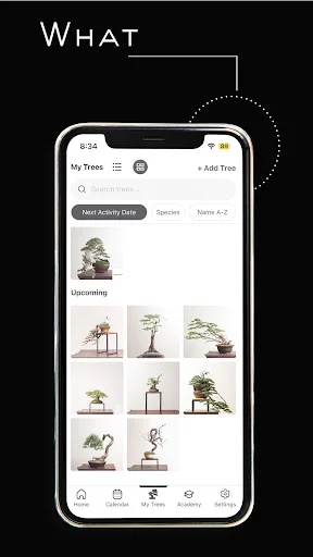 Mirai Mobile: Seu Guia Completo de Bonsai – Especialista Ryan Neil - Screenshot 3