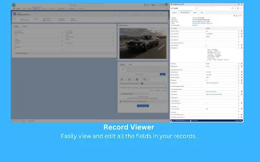 Salesforce Toolkit: Otimize seu Fluxo de Trabalho no Salesforce - Screenshot 5